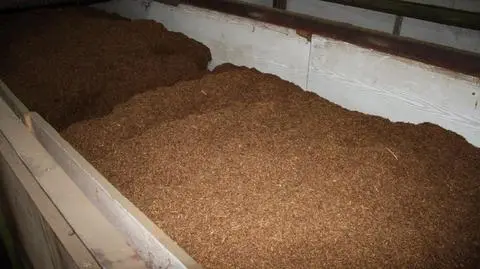 Przerobili 17 ton tytoniu na nielegalne papierosy