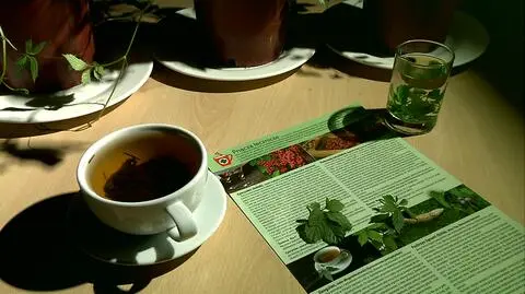 Cudowne specyfiki z nieznanego źródła