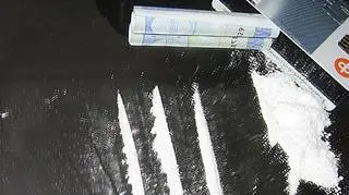 Griselda Blanco była pionierką przemytu kokainy