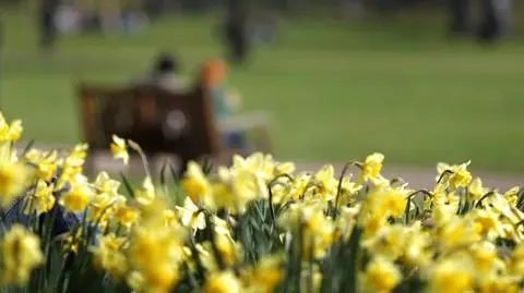 Wiosna? Prawie lato! 
 W ten weekend przygrzeje