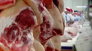 Weterynarze mogą trafić na 3 lata do więzienia