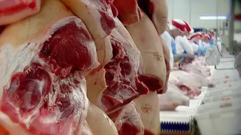 Pod sąd za pozwolenie na wywóz mięsa do Chin. Oskarżeni lekarze weterynarii 