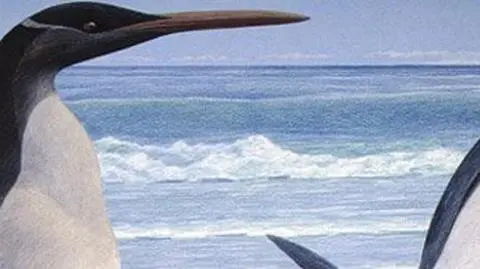 Tak wyglądały pingwiny giganty