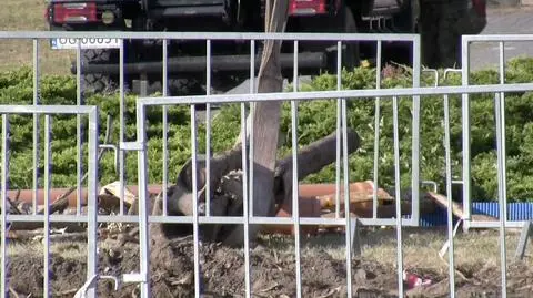 Opole. Znaleźli trzymetrową lufę z pociskiem w środku