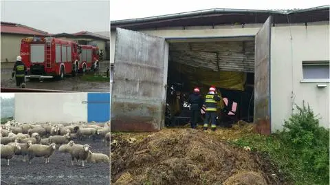 Akcja straży pożarnej w Opolu