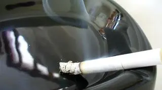 Posłowie zajmą się dyrektywą tytoniową