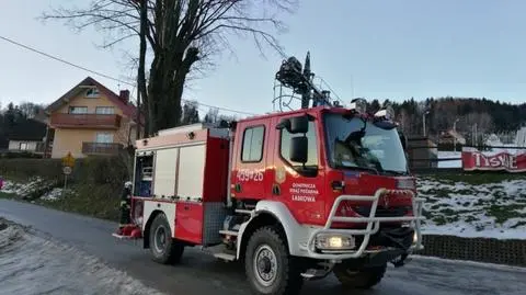 Laskowa. Strażacy ratowali kota