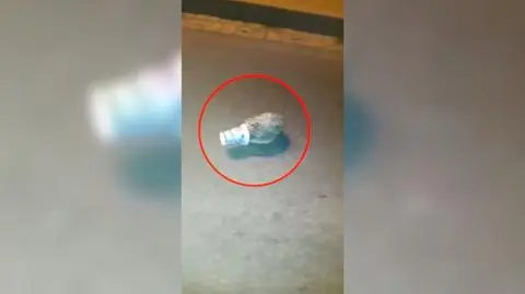 Złotoryja. Strażacy pomogli jeżowi