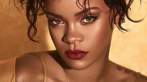 Okradli domy Rihanny, Christiny Milan, Matta Damona i LeBrona Jamesa