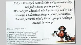 Damy to kobiety, które "dają" - taką kategorię wprowadzili urzędnicy Pyrzyc