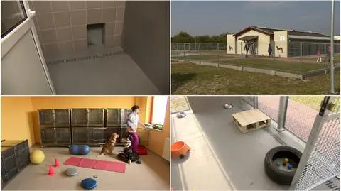 Schronisko na miarę XXI wieku. Psy mają tu podgrzewaną podłogę