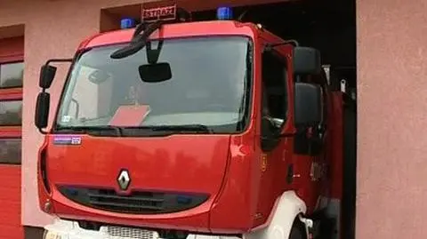 Kara dla szefów straży za "pokemony"