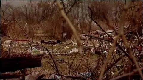 Co prokurator zrobił w sprawie śledztwa?