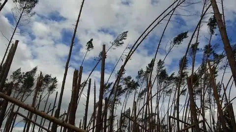 Flash storm destroyed the village of Rytel in 2017