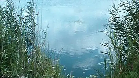 70-latek uratował tonącego chłopca