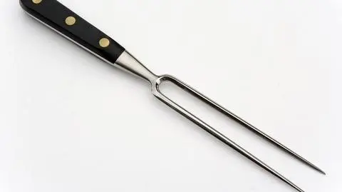 Zabił psa widelcem do barbecue