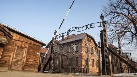 Amerykanin skazany za niszczenie Miejsca Pamięci Auschwitz 