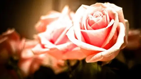 Jak napisać idealną walentynkę?