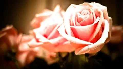 Jak napisać idealną walentynkę?