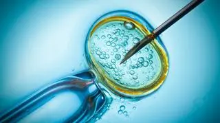 Do błędu doszło przy zabiegu zapłodnienia in vitro 