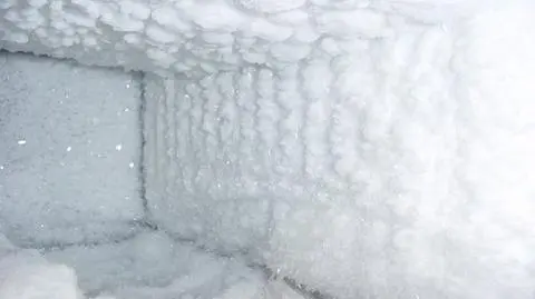Martwy kucharz dwa lata w lodówce