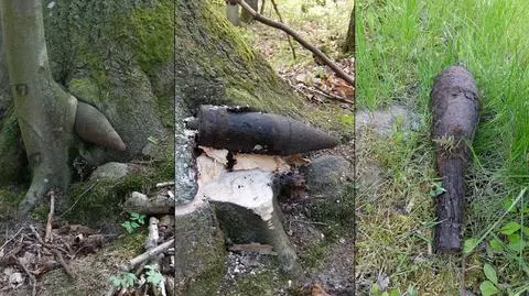 Saperzy w Jastarni i Kazimierzowie