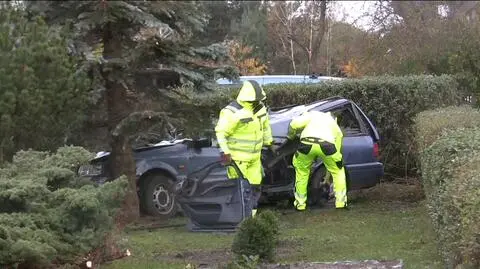 Drzewo miało być wycięte, zabiło kierowcę. Koniec śledztwa