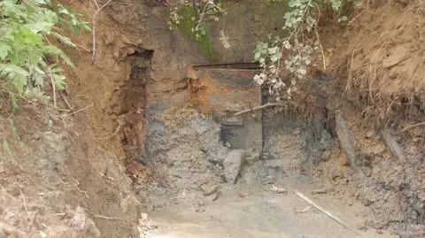 Riese: znaleźli tajemnicze drzwi. Będą sprawdzać co się za nimi kryje