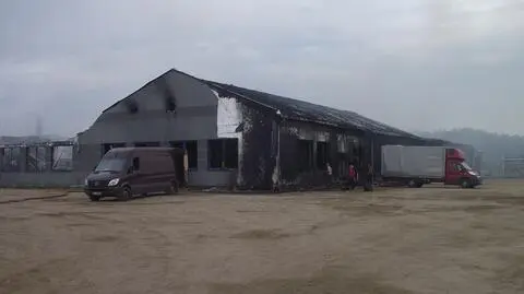 Pożar w fabryce mebli. Walczyło z nim 70 strażaków