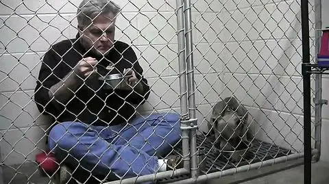 Lekarz zjadł śniadanie z zaniedbaną suczką