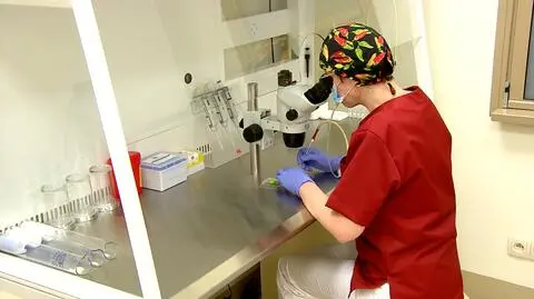 Niektórzy lekarze w rubryce "inne" w książeczce zdrowia wpisują "dziecko z in vitro"