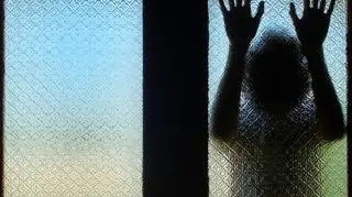 RPD podkreśla, że przez brak terminowego rozpoznania spraw, dochodzi do sytuacji zagrożenia życia dzieci