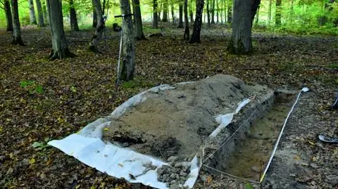Wykop sondażowy założony na jednej z miedz, ukazujący jej kamienną konstrukcję 