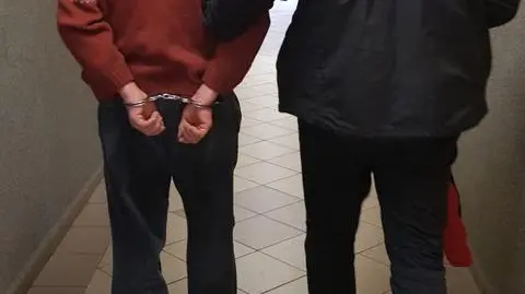 Mężczyzna ukradł naczepę wypełnioną chipsami