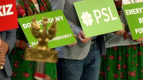 PSL i Kukiz’15 wchodzą do Sejmu