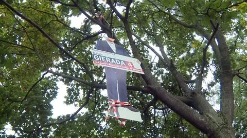 Zarzuty dla mężczyzn, którzy mieli powiesić na drzewie baner wyborczy z podobizną Artura Gierady z PO