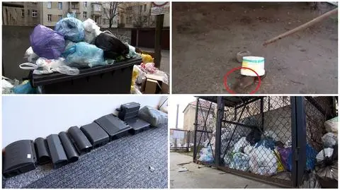 Śmieci zalegają w Poznaniu. Czy miastu grozi plaga szczurów?