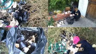 Dokumentację medyczną strażnicy miejscy znaleźli na jednym z wrocławskich osiedli 