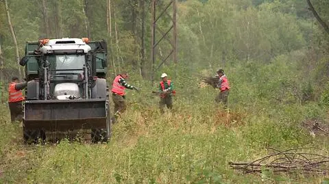 Prace porządkowe w miejscu, gdzie ma być ukryty "złoty pociąg"
