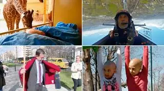 Wybraliście najlepsze wideo tygodnia