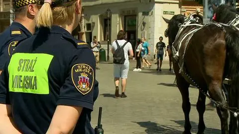 Konie stoją tuż obok rynku