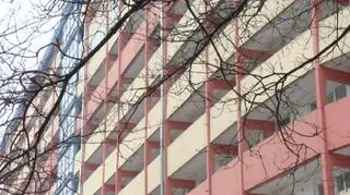 Za oszustwa kobiecie grozi do 8 lat więzienia 