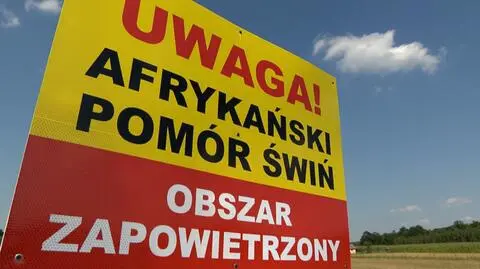 Kolejne dwa ogniska wykryto na Podlasiu