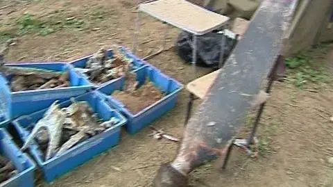 Amerykański bombowiec na polskim polu