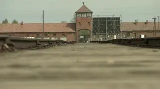 Fundację wspomagają również Włochy, Francja i Niemcy