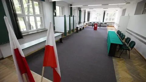 Amfibią na wybory