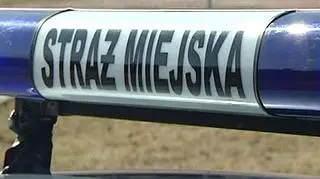 Strażników zaalarmował mieszkaniec Chorzowa