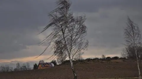 Silne wichury w Polsce. We wtorek znów będzie wiać