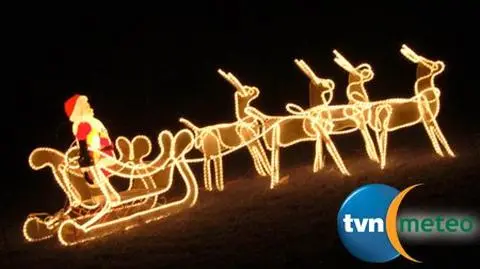 Rudolf jest ciężarną samicą. Potrafi latać?