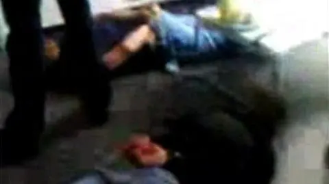Ferma strusi była przykrywką dla hodowli marihuany